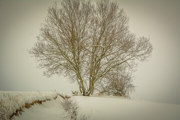 Winter landscapes on Polish village - obrazy, fototapety, plakaty