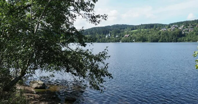 Titisee im s&uuml;dlichen Schwarzwald in Baden-W&uuml;rttemberg. Blick auf den See vom Weg entlang des S&uuml;dostufers (Seerundweg)
