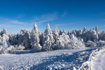 Deep snow-covered winter landscape on the Großer Feldberg in Taunus/Germany on a sunny day