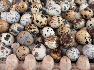 many raw equail eggs in market