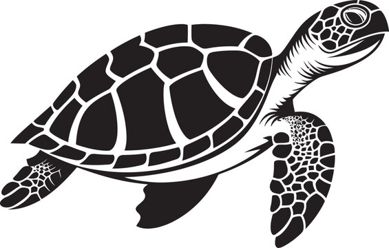 recommend clip art: TurtleTrails Serene Vector Emblem ShellMosaic Intricate Iconography