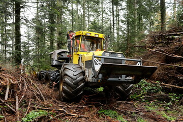 Maschine zur Bearbeitung von Holz steht im Wald