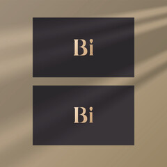 Bi logo design vector image