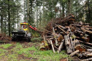 Maschine zur Bearbeitung von Holz steht im Wald