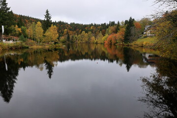 Der Herbstwald spiegelt sich im Klosterweiher bei Sankt Blasien im Schwarzwald