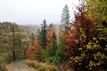 Blick in den Südschwarzwald bei Todtmoos bei Regen und tiefstehenden Wolken