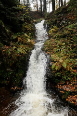 Obraz premium Wasserfall bei dem Ort Todtmoos im Schwarzwald