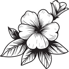 Realistic Catharanthus flower coloring pages, madagascar periwinkle drawing, periwinkle drawing, flower cluster drawing, Cute flower coloring pages, illustration vector art