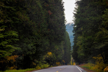 Scenic landscape traveling the McKenzie Pass in Oregon, USA