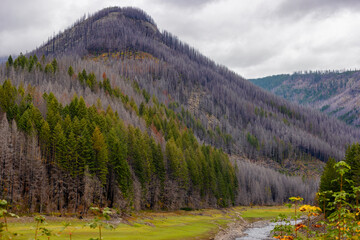 Scenic landscape traveling the McKenzie Pass in Oregon, USA
