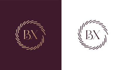 BX logo design vector image
