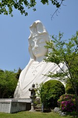 大船観音様。昭和4年建設に着手し、戦争による中断を経て、昭和35年4月世界平和を願う温容ゆたかなお姿に完成しました。高さ25m、巾19m、奥行13m