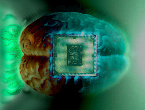 Human brain anatomical model with CPU processor microchip