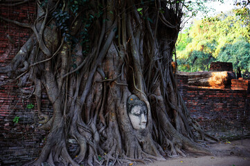 Ancient Budha statue's face in the tree roots in Ayuthaya khmer temple, Thailand.