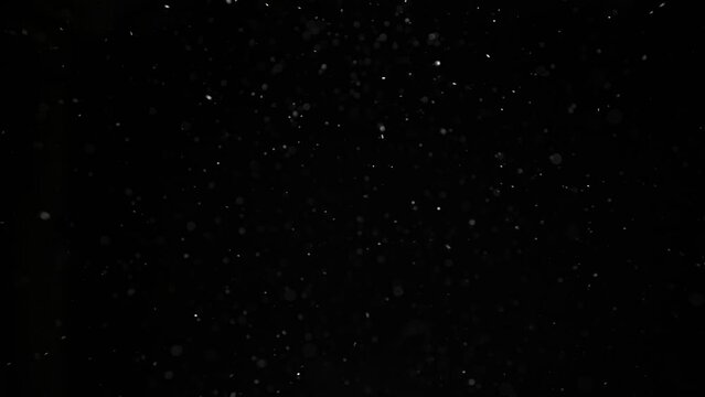 Snowflakes float slowly on a black background.