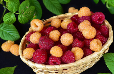 basket with multi-colored raspberries, close-up, no people, minimalism