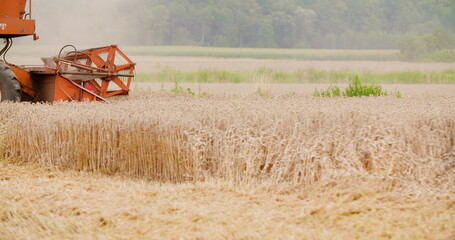 combine harvester harvesting wheat field agriculture