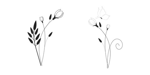 illustration of a plant