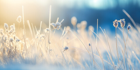 Beautiful gentle winter landscape, frozen grass on snowy natural background. Winter background with flowers covered snow crystals glittering in sunlight. Defocused winter landscape.	
