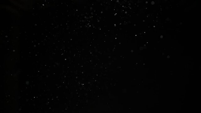 Snowflakes float slowly on a black background.