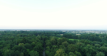 Fototapeta na wymiar Flying over forest trees. Nature - Aerial Views