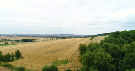 Fototapeta na wymiar Aerial shoot of wheat fields