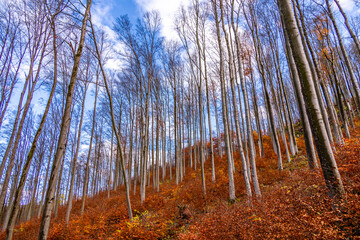 Kleine Herbstliche Wanderung durch die Heimat bei Asbach - Thüringen - Deutschland