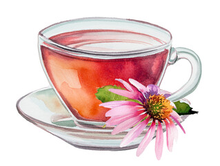 Vintage glass cup with echinacea flower illustration. Retro mug design. Hot drink clipart isolated on a white background. Calming herbal tea clipart. Drink for better health.