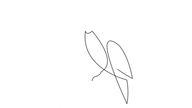 Self drawing simple animation of one line kingfisher or halcyon bird design silhouette. Animated continuous line hand drawn minimalism style bird.