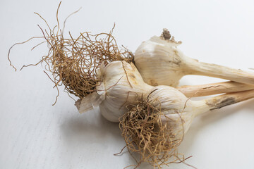 Garlic pestle with stem on white background.
