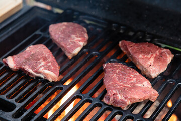 Beef rumpsteak cooked on a cast iron grate on a charcoal grill