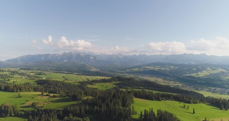 Naklejka premium Flying over the beautiful forest trees. Landscape panorama.