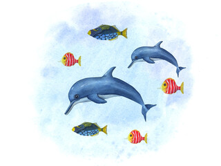 Fototapeta premium Cartoon swimming dolphins among small multicolor fishes. Porpoise, triggerfish. Sea composition on watercolor background. Hand drawn illustration for wallpaper, print, baby textile, postcard