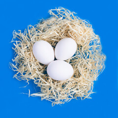 White easter eggs in a nest of straw on the blue background. Close-up.