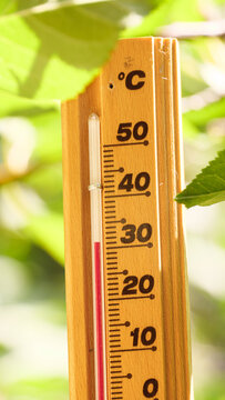 The thermometer shows a temperature of 30 degrees Celsius during the warm days of an extreme heatwave and the hot summer weather season in Earth. Blurred nature green outdoor forest background.