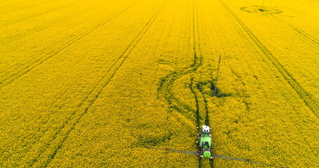 Agriculture aerial view - GMO background. Farming concept.