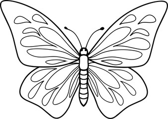 Line illustration of butterfly insect animal on white