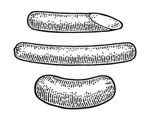 Whole and half sausage. Vintage vector engraving illustration for web, poster. Hand drawn design element isolated on white background.