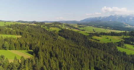 Fototapeta na wymiar Flying over the beautiful forest trees. Landscape panorama.
