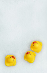 High Angle View of yellow rubber duck in bath swimming in foam water. Yellow rubber ducklings in soapy foam.