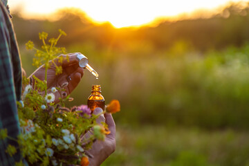 A man collects medicinal herbs in a field. Selective focus. © yanadjan