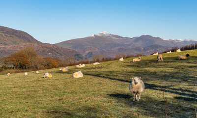 Obraz premium Views around Porthmadog countryside north Wales uk