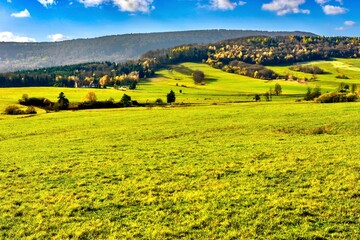 Grand landscape in the Carpathian Mountains, Poland. Alpine meadows.
