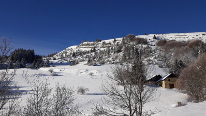 Journée de randonnée raquettes dans le Vercors, sur le plateau de Sornin - le 4 décembre 2023 