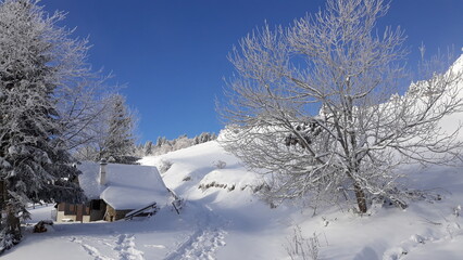 Journée de randonnée raquettes dans le Vercors, sur le plateau de Sornin - le 4 décembre 2023 