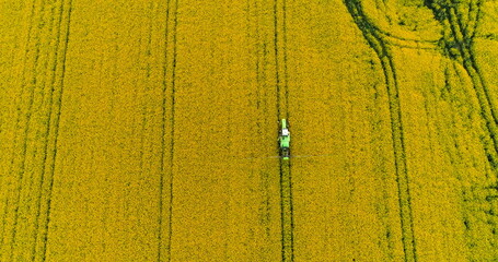 Agriculture - GMO background.