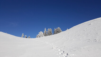 Journée de randonnée raquettes dans le Vercors, sur le plateau de Sornin - le 4 décembre 2023 