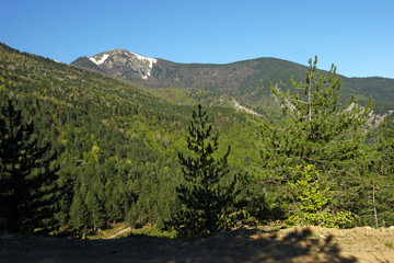 Obraz premium Uludag, located in Bursa, Turkey, is one of the ski and tourism spots of the country.