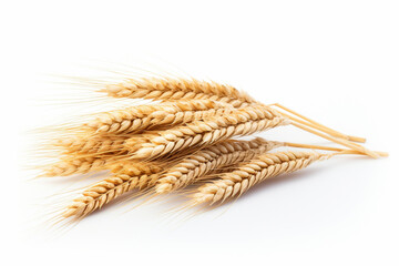 wheat ears isolated on white background