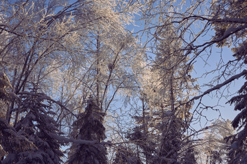 Image from a trip to the Store Vaalsjoen Lake, Vesle Vaalsjoen Lake, Veslekoltjernet Lake and Storkoltjernet Lake, part of the Totenaasen Hills, Oppland, Norway, in winter.